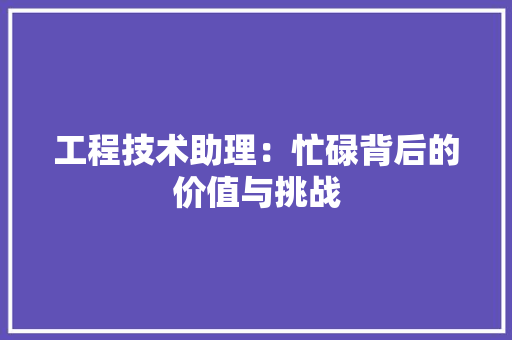 工程技术助理：忙碌背后的价值与挑战