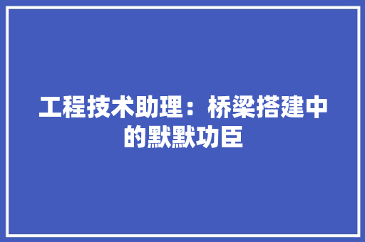 工程技术助理：桥梁搭建中的默默功臣