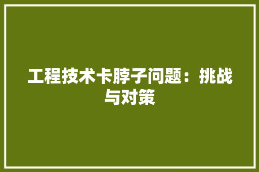 工程技术卡脖子问题：挑战与对策 现代风格装饰