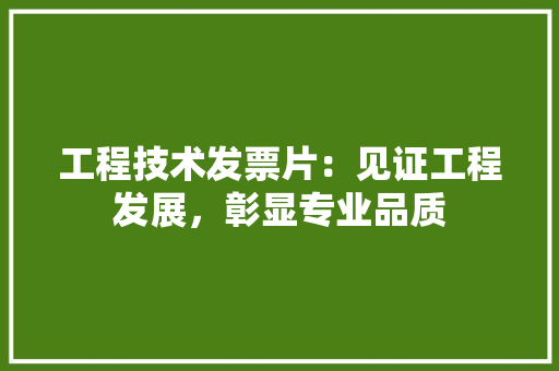 工程技术发票片：见证工程发展，彰显专业品质 现代风格装饰