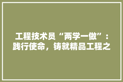 工程技术员“两学一做”：践行使命，铸就精品工程之路 现代风格装饰