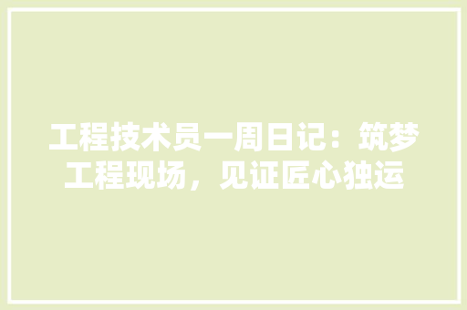 工程技术员一周日记：筑梦工程现场，见证匠心独运 现代风格装饰