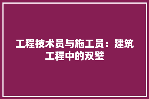 工程技术员与施工员：建筑工程中的双璧 现代风格装饰