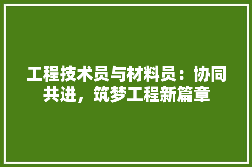 工程技术员与材料员：协同共进，筑梦工程新篇章 现代风格装饰