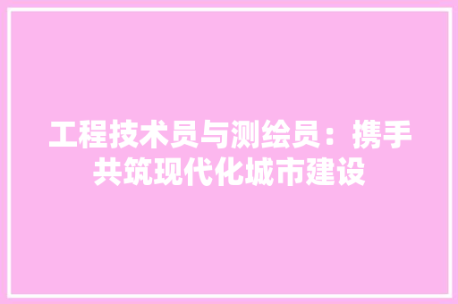 工程技术员与测绘员：携手共筑现代化城市建设 现代风格装饰