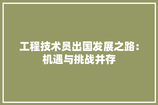 工程技术员出国发展之路：机遇与挑战并存 现代风格装饰