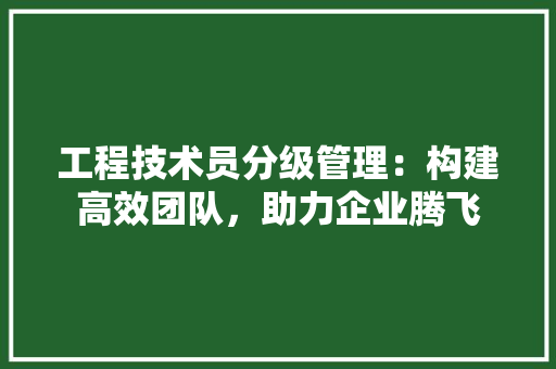 工程技术员分级管理：构建高效团队，助力企业腾飞 现代风格装饰