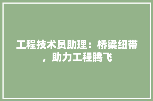 工程技术员助理：桥梁纽带，助力工程腾飞 现代风格装饰