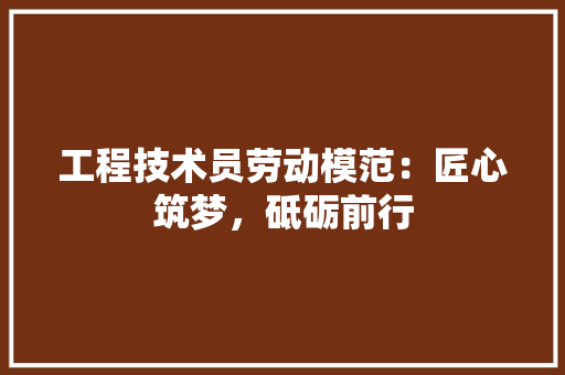 工程技术员劳动模范：匠心筑梦，砥砺前行 现代风格装饰