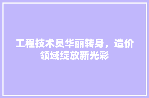 工程技术员华丽转身，造价领域绽放新光彩 现代风格装饰