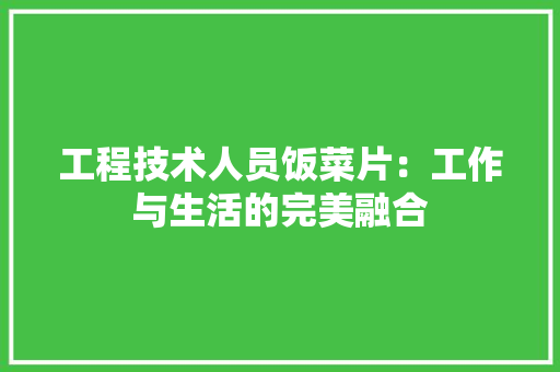 工程技术人员饭菜片：工作与生活的完美融合