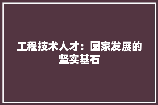 工程技术人才：国家发展的坚实基石 现代风格装饰