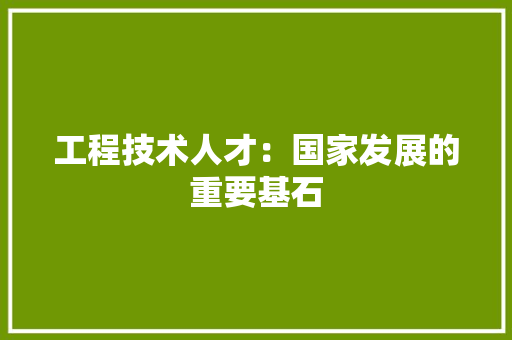 工程技术人才：国家发展的重要基石 现代风格装饰