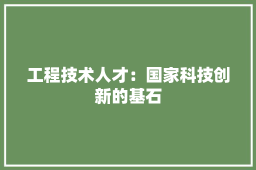 工程技术人才：国家科技创新的基石 现代风格装饰