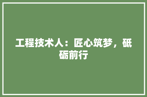 工程技术人：匠心筑梦，砥砺前行 现代风格装饰