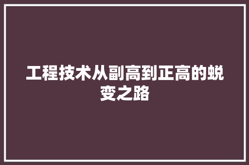 工程技术从副高到正高的蜕变之路 现代风格装饰