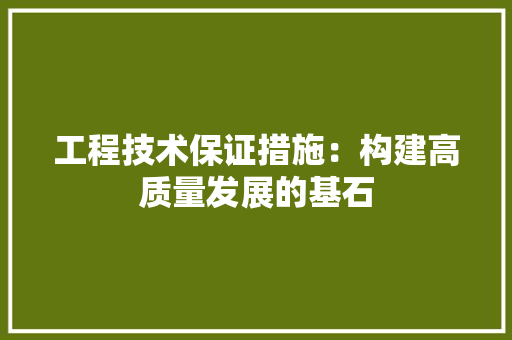 工程技术保证措施：构建高质量发展的基石 现代风格装饰