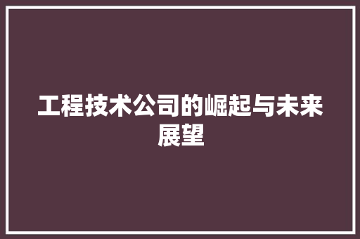 工程技术公司的崛起与未来展望