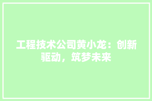 工程技术公司黄小龙：创新驱动，筑梦未来