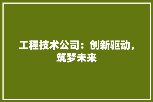 工程技术公司：创新驱动，筑梦未来 现代风格装饰