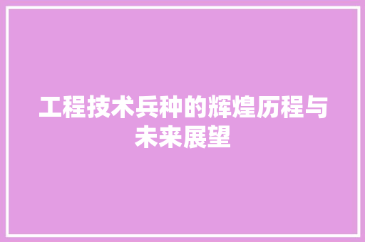 工程技术兵种的辉煌历程与未来展望 现代风格装饰