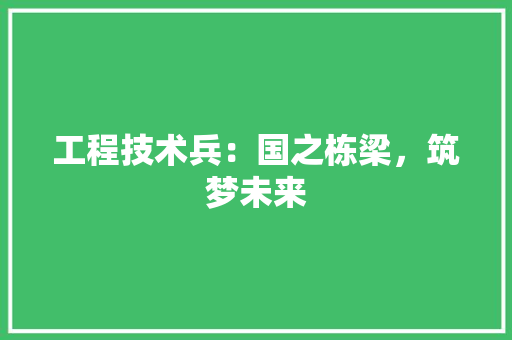 工程技术兵：国之栋梁，筑梦未来 现代风格装饰
