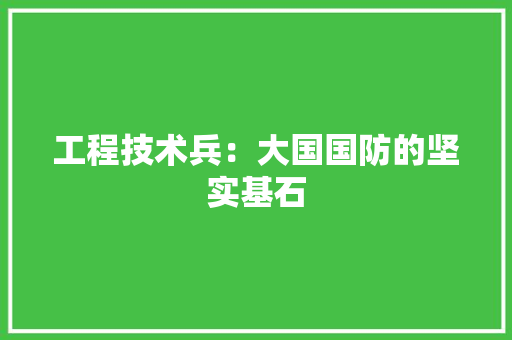 工程技术兵：大国国防的坚实基石 现代风格装饰
