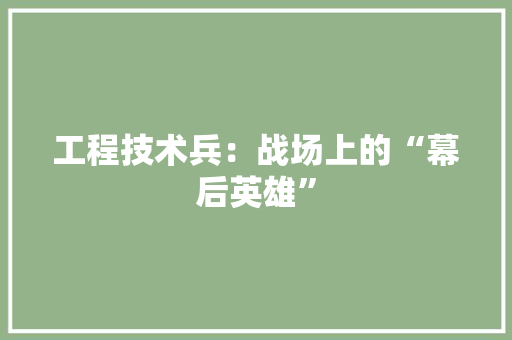 工程技术兵：战场上的“幕后英雄” 现代风格装饰