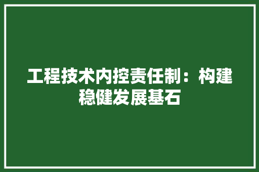 工程技术内控责任制：构建稳健发展基石 现代风格装饰