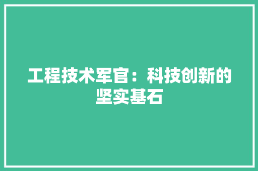 工程技术军官：科技创新的坚实基石 现代风格装饰