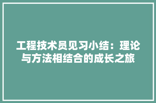 工程技术员见习小结：理论与方法相结合的成长之旅 现代风格装饰