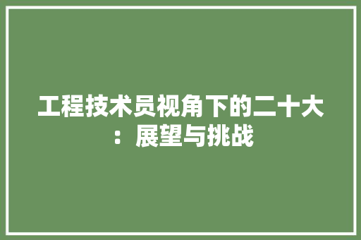 工程技术员视角下的二十大：展望与挑战 现代风格装饰