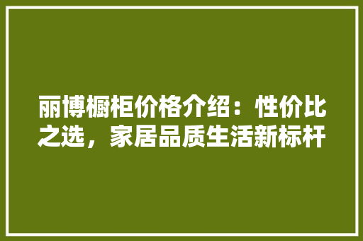 丽博橱柜价格介绍：性价比之选，家居品质生活新标杆 家居装修