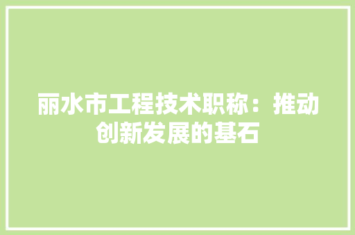 丽水市工程技术职称：推动创新发展的基石