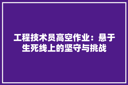 工程技术员高空作业：悬于生死线上的坚守与挑战 现代风格装饰