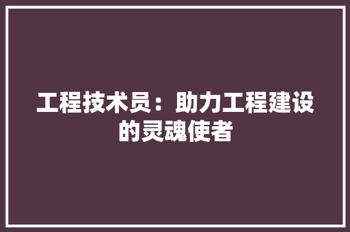 工程技术员：助力工程建设的灵魂使者 现代风格装饰