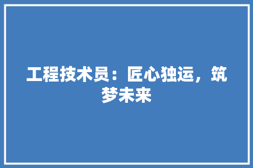 工程技术员：匠心独运，筑梦未来 现代风格装饰