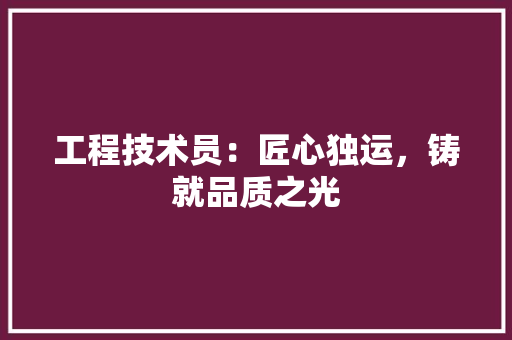 工程技术员：匠心独运，铸就品质之光 现代风格装饰