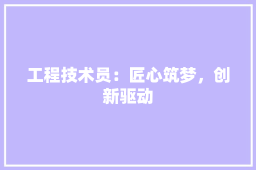 工程技术员：匠心筑梦，创新驱动 现代风格装饰
