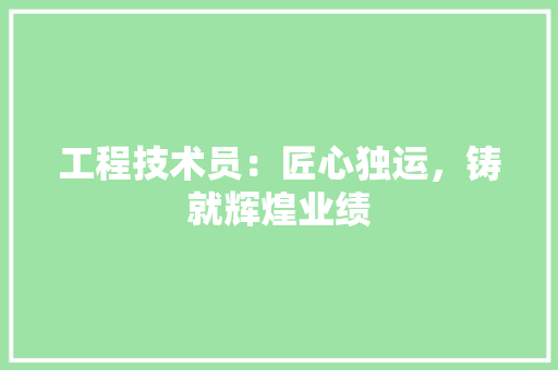 工程技术员：匠心独运，铸就辉煌业绩 现代风格装饰