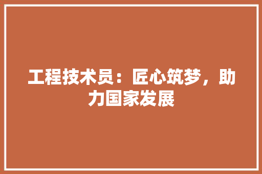工程技术员：匠心筑梦，助力国家发展 现代风格装饰
