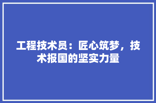 工程技术员：匠心筑梦，技术报国的坚实力量 现代风格装饰