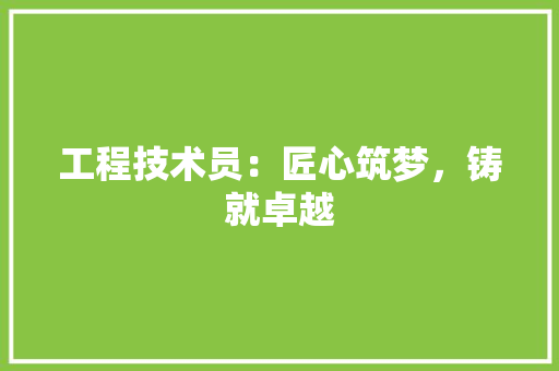 工程技术员：匠心筑梦，铸就卓越 现代风格装饰