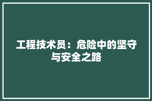 工程技术员：危险中的坚守与安全之路 现代风格装饰