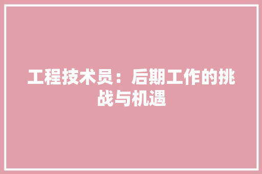工程技术员：后期工作的挑战与机遇 现代风格装饰
