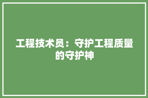 工程技术员：守护工程质量的守护神 现代风格装饰