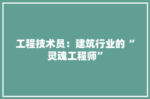 工程技术员：建筑行业的“灵魂工程师” 现代风格装饰