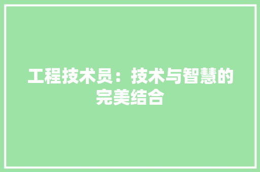 工程技术员：技术与智慧的完美结合 现代风格装饰