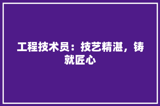 工程技术员：技艺精湛，铸就匠心 现代风格装饰