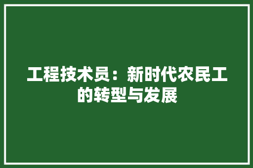 工程技术员：新时代农民工的转型与发展 现代风格装饰